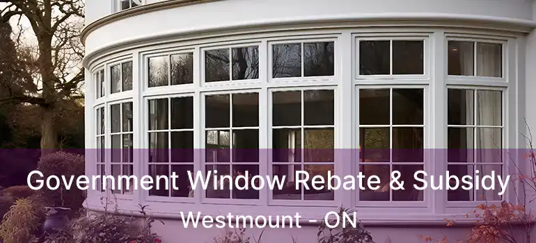  Government Window Rebate & Subsidy Westmount - ON