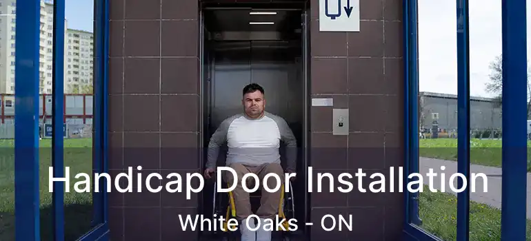  Handicap Door Installation White Oaks - ON