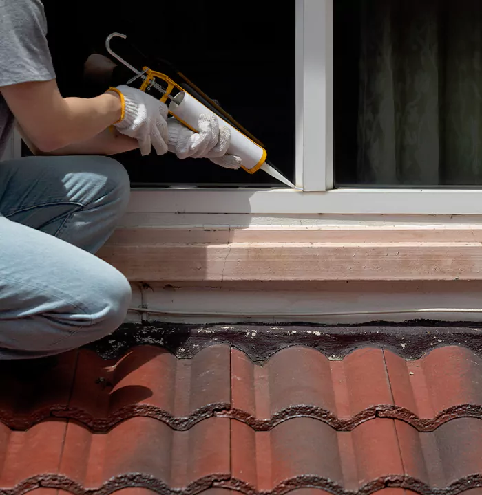 Roof Window Services in London, Ontario