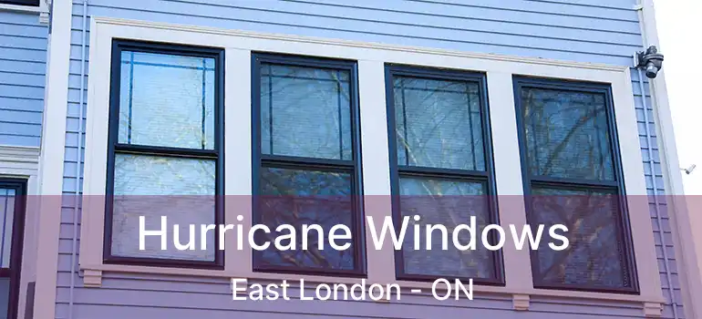  Hurricane Windows East London - ON