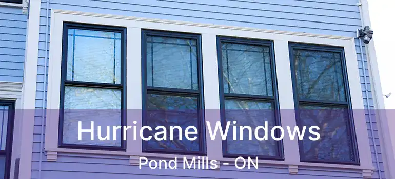  Hurricane Windows Pond Mills - ON