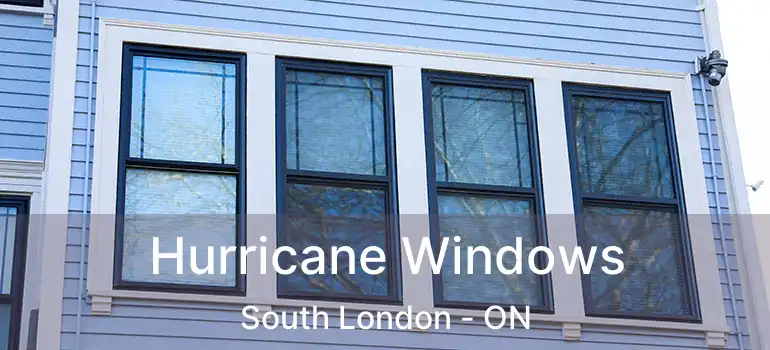  Hurricane Windows South London - ON