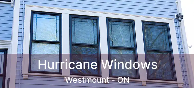  Hurricane Windows Westmount - ON
