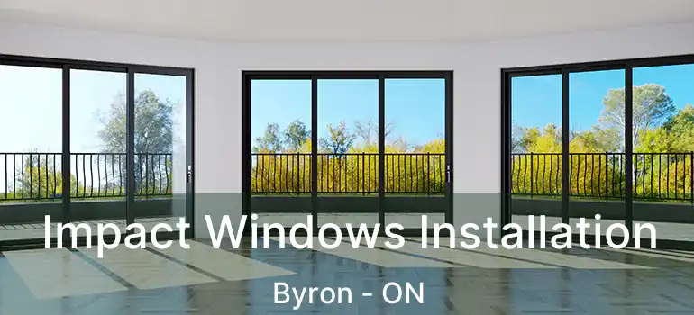  Impact Windows Installation Byron - ON