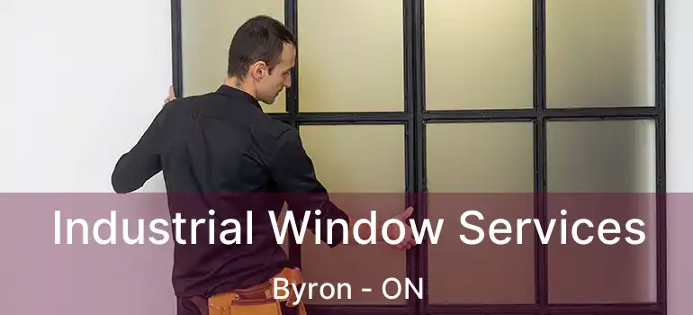  Industrial Window Services Byron - ON