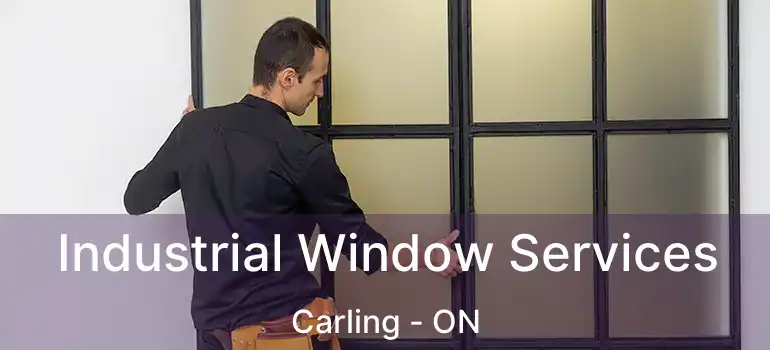  Industrial Window Services Carling - ON