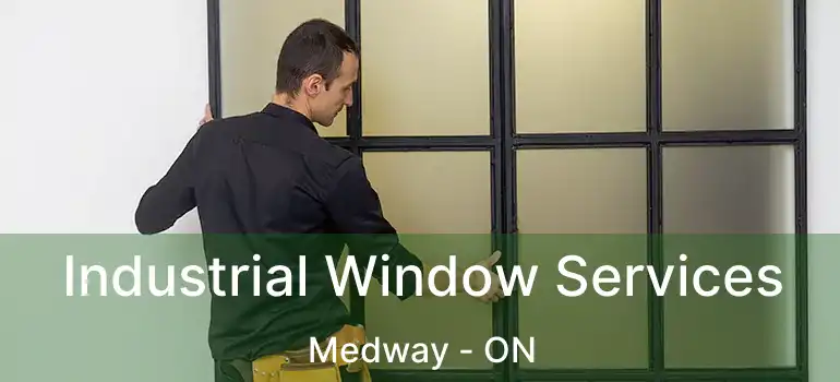  Industrial Window Services Medway - ON
