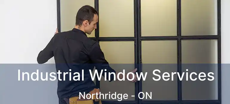  Industrial Window Services Northridge - ON