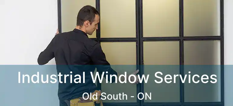  Industrial Window Services Old South - ON