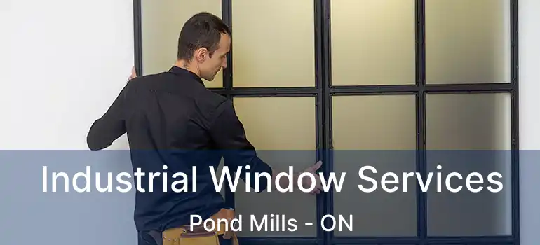  Industrial Window Services Pond Mills - ON