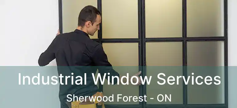  Industrial Window Services Sherwood Forest - ON