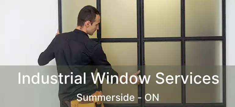  Industrial Window Services Summerside - ON