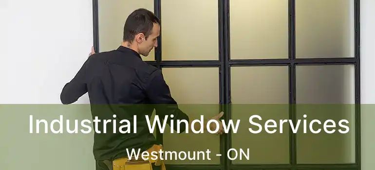  Industrial Window Services Westmount - ON