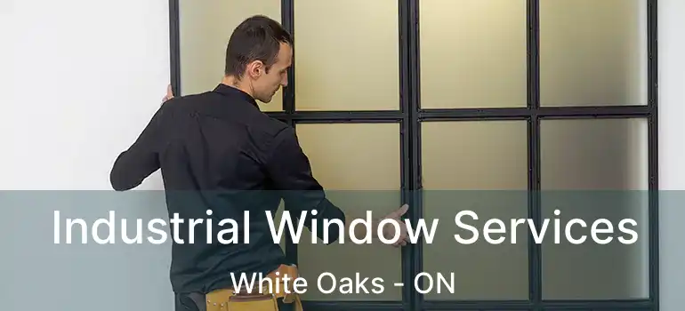  Industrial Window Services White Oaks - ON