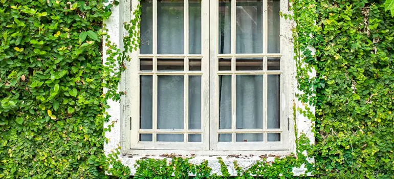 arden Window Repair Near Me in Jackson, ON