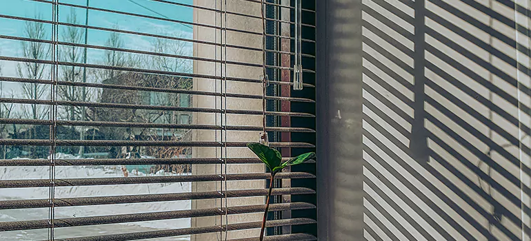 Commercial Window Blinds in London, ON