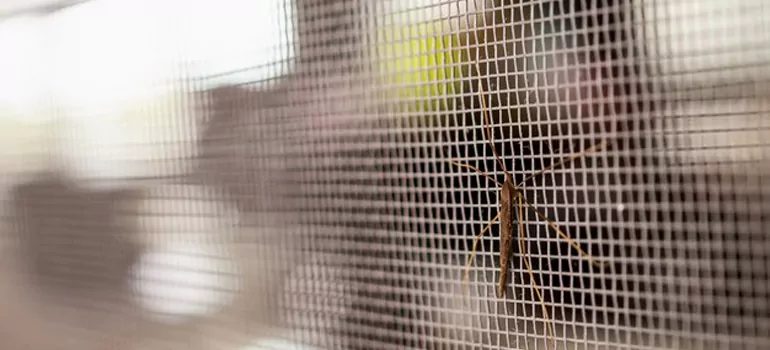 Repair Mosquito Mesh For Windows in London, Ontario