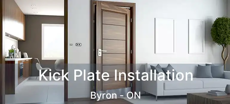  Kick Plate Installation Byron - ON