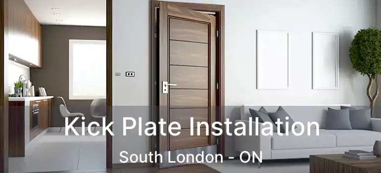  Kick Plate Installation South London - ON