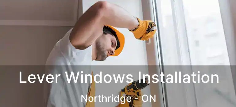  Lever Windows Installation Northridge - ON