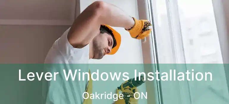  Lever Windows Installation Oakridge - ON
