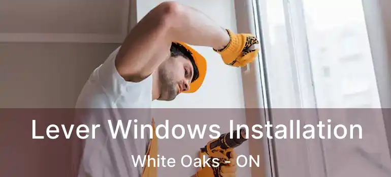  Lever Windows Installation White Oaks - ON