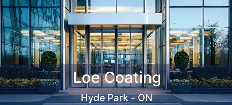  Loe Coating Hyde Park - ON