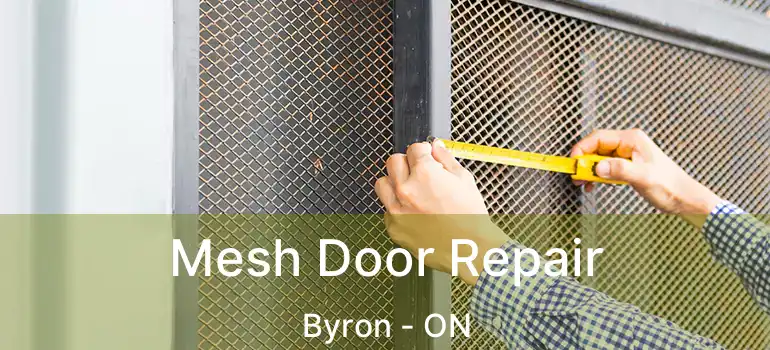  Mesh Door Repair Byron - ON
