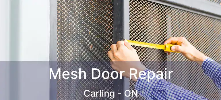  Mesh Door Repair Carling - ON