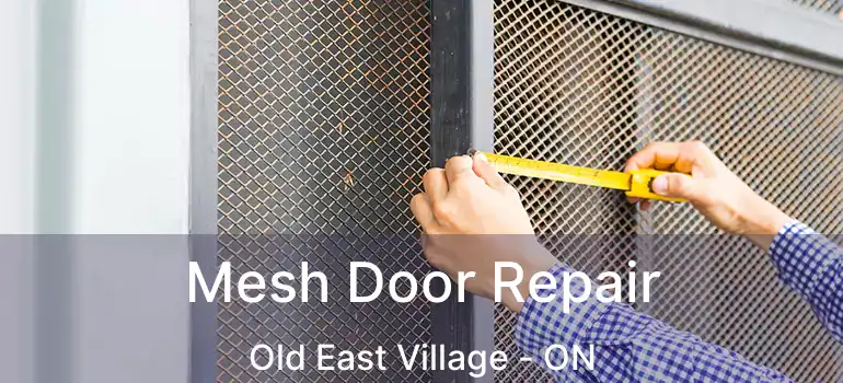  Mesh Door Repair Old East Village - ON