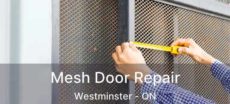  Mesh Door Repair Westminster - ON