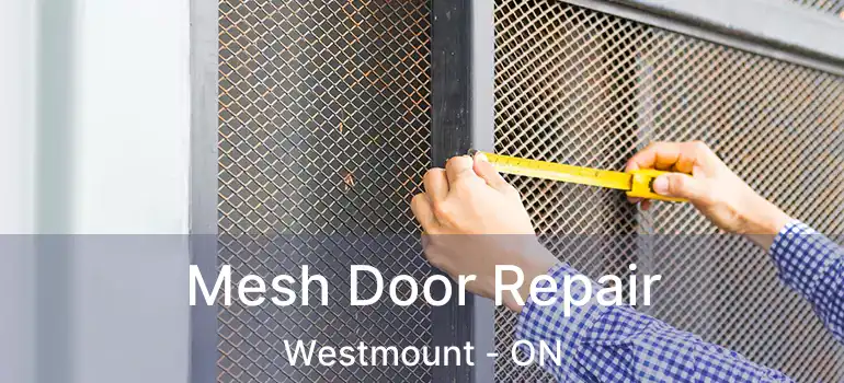  Mesh Door Repair Westmount - ON