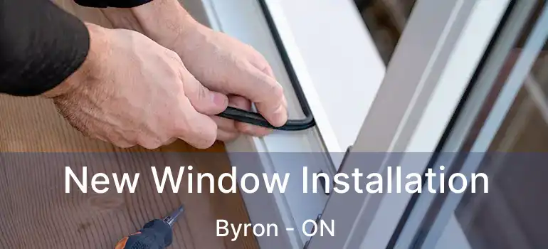  New Window Installation Byron - ON