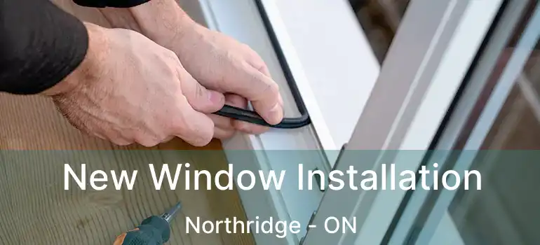  New Window Installation Northridge - ON
