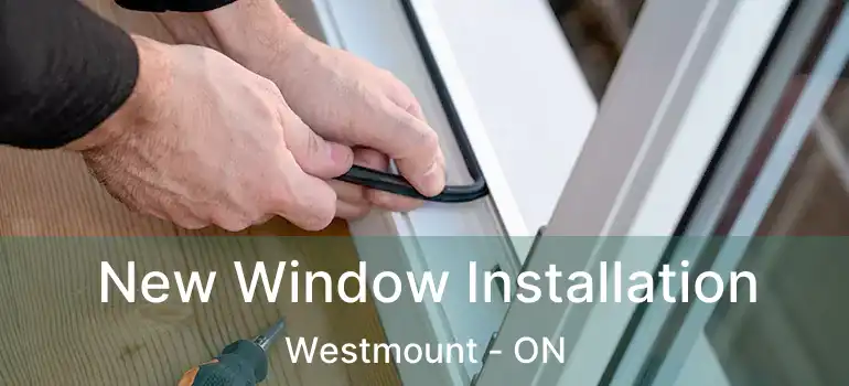  New Window Installation Westmount - ON