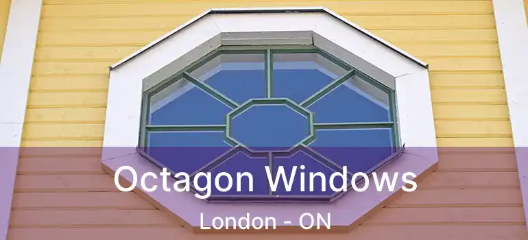  Octagon Windows London - ON