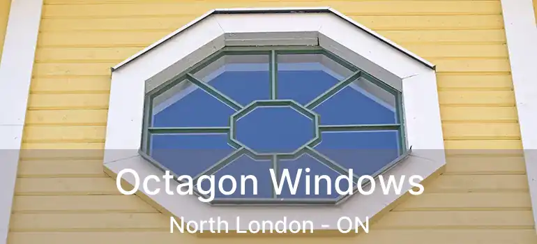  Octagon Windows North London - ON