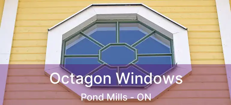  Octagon Windows Pond Mills - ON