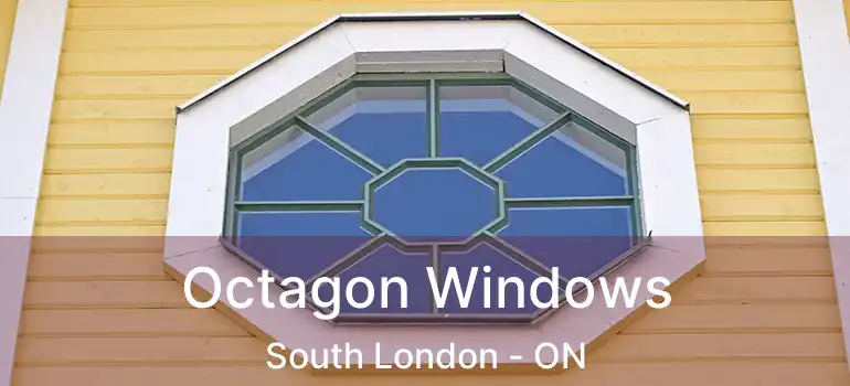  Octagon Windows South London - ON