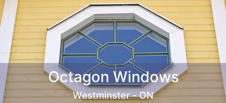  Octagon Windows Westminster - ON