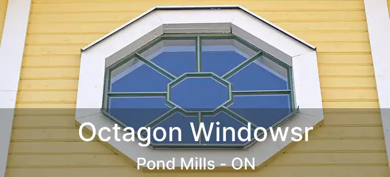  Octagon Windowsr Pond Mills - ON