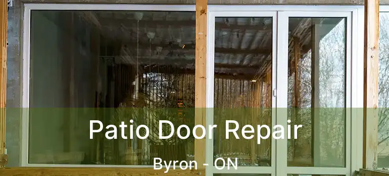  Patio Door Repair Byron - ON