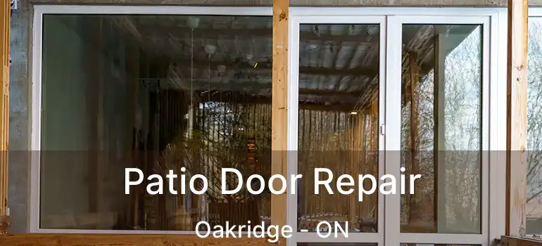  Patio Door Repair Oakridge - ON