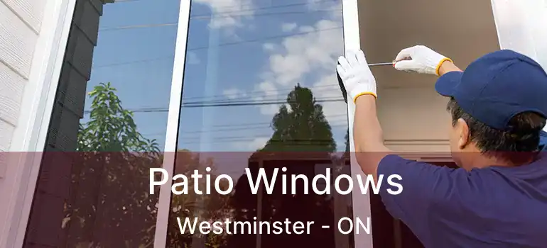  Patio Windows Westminster - ON