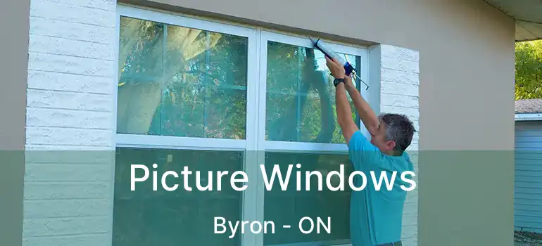  Picture Windows Byron - ON