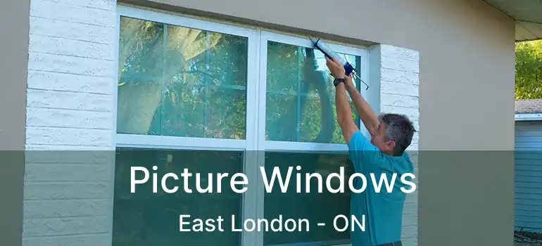  Picture Windows East London - ON