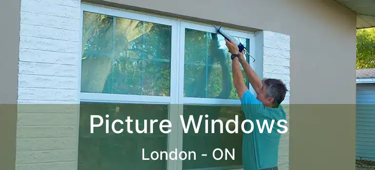  Picture Windows London - ON