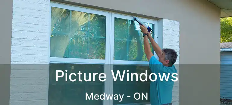  Picture Windows Medway - ON