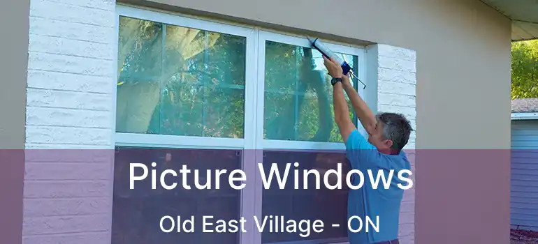  Picture Windows Old East Village - ON