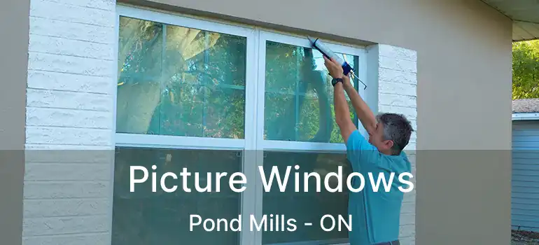  Picture Windows Pond Mills - ON